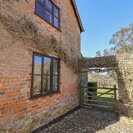 Vine Cottage Musbury المظهر الخارجي الصورة